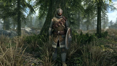 Nomad in Duskward Armor