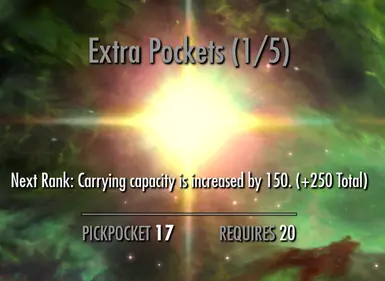ExtraPocketsSE02