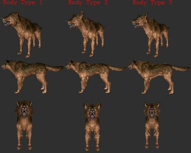 Wolf Body Types - Graphics Update WIP