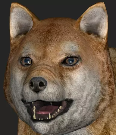 Shiba Inu Graphics Update - WIP