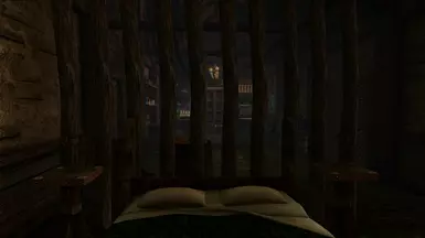 Bedroom (ENB,ELFX) night