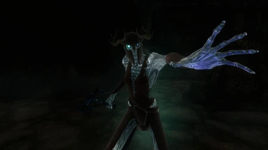 Draugr Witch (Frost)