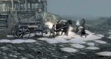 Sofi vs the horsecart