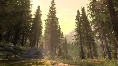 Vivid Weathers Definitive Edition - a complete Weather and Visual overhaul for Skyrim