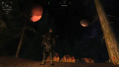 Skyrim SE - Vivid 2025 [NIGHT]