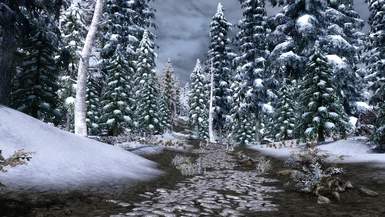 Enhanced Vanilla Trees + Dark Forest