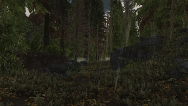 Enhanced Vanilla Trees + Dark Forest
