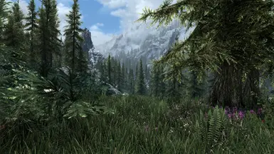 best landscape mods skyrim