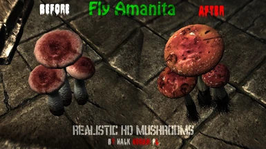 Fly Amanita