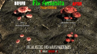 Fly Amanita in Hearthfire Garden