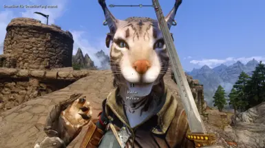 Hello dragonborn, I couldn't help but see that you have a bottle of skooma in your hand, are you going to share, YES?