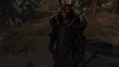 Falmer armor matches Bikhai's colouring, but perhaps not his personality