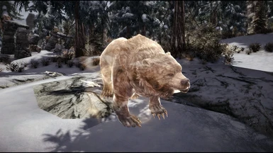 Conjure Bear Familiar