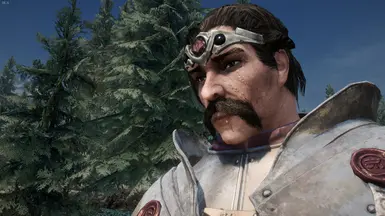 Avecius Runiant - Order of the Hour Paladin