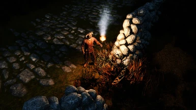 ENB Light with Torches Cast Shadows