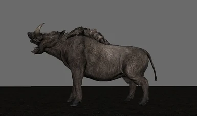 The Wild Boar you always wanted in Solstheim!