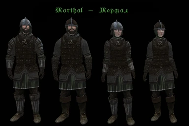 Guards Armor Replacer SSE at Skyrim Special Edition Nexus - Mods and ...