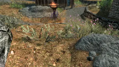 Landscape purged from evil Dead Shrub