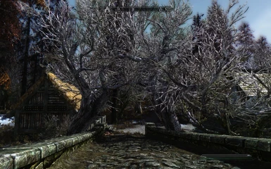 Marsh entrance from Morthal