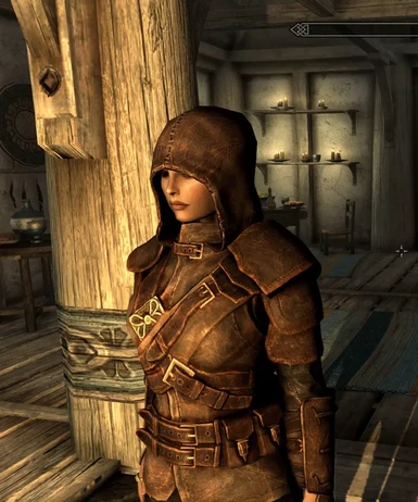 AnotherThieves Guild Armor SE at Skyrim Special Edition. 