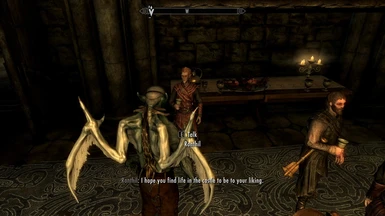 Now the player can initiate dialogue while in Vampire Lord form