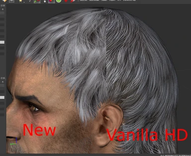 Vanilla short hair vs new