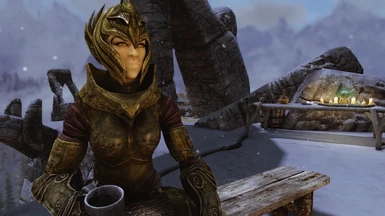 This Nord Mead sucks, I want some wine.