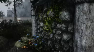 Skyland Farmhouse Texture