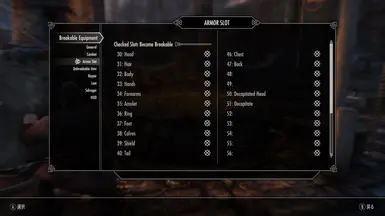 Oblivion Armor Slots