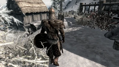 Dawnstar Guard from the Back