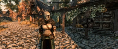 ComfyKnight for SE - Faraam Knight Armor from Dark Souls