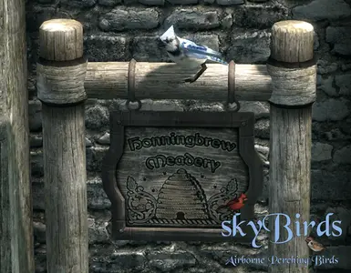 skybirds sse edition at skyrim special edition nexus mods and community skybirds sse edition at skyrim special