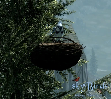 Skybirds Sse Edition At Skyrim Special Edition Nexus Mods And Community