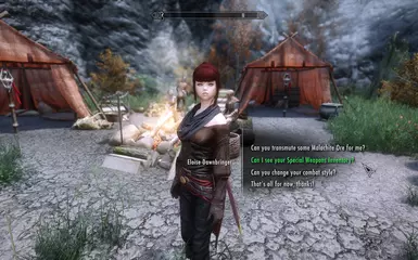 Custom Dialogue Topics