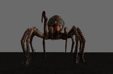 Arachnophobia, Arachnophobia Wiki