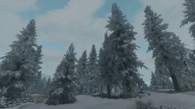 Heavy Snow Trees option