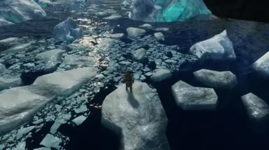 Standing in the middle of the experimental ice floe