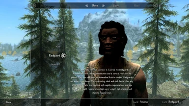 skyrim the journey mod pack cannot find path