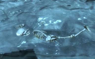 Corpses frozen in Glaciers