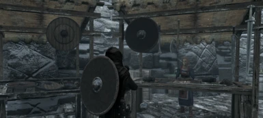 Weapons and shields in Windhelm
