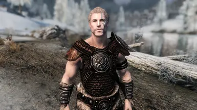 Northern Brawn - Male Overhaul at Skyrim Special Edition Nexus - Mods ...