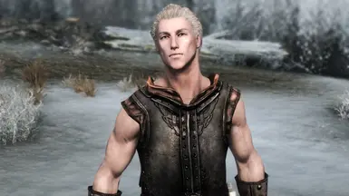 Northern Brawn - Male Overhaul at Skyrim Special Edition Nexus - Mods ...