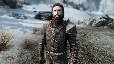 Northern Brawn - Male Overhaul at Skyrim Special Edition Nexus - Mods ...