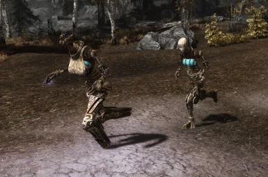 Rogue dwemerbots can be found all over Skyrim once you complete your follower!