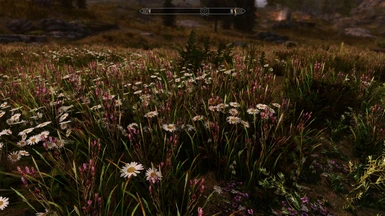 Vurt's Grass and Plants with EVT and Obsidian NVT, Mystrious Dawns Landscape, Arindel's Darker LOD