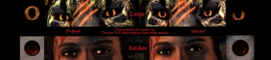 Follow Eyes, Inigo & Kaidan