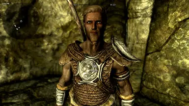 DM Male Follower Collection at Skyrim Special Edition Nexus - Mods and ...