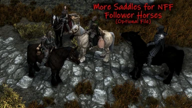 Saddles for NFF