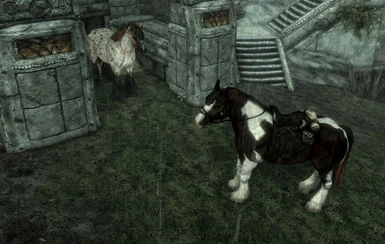 Markarth Stables