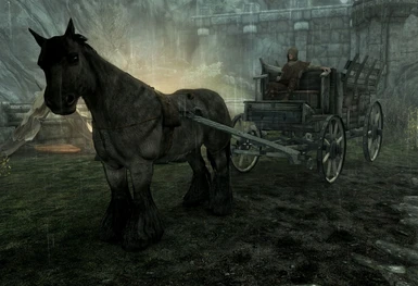 Cart Horse